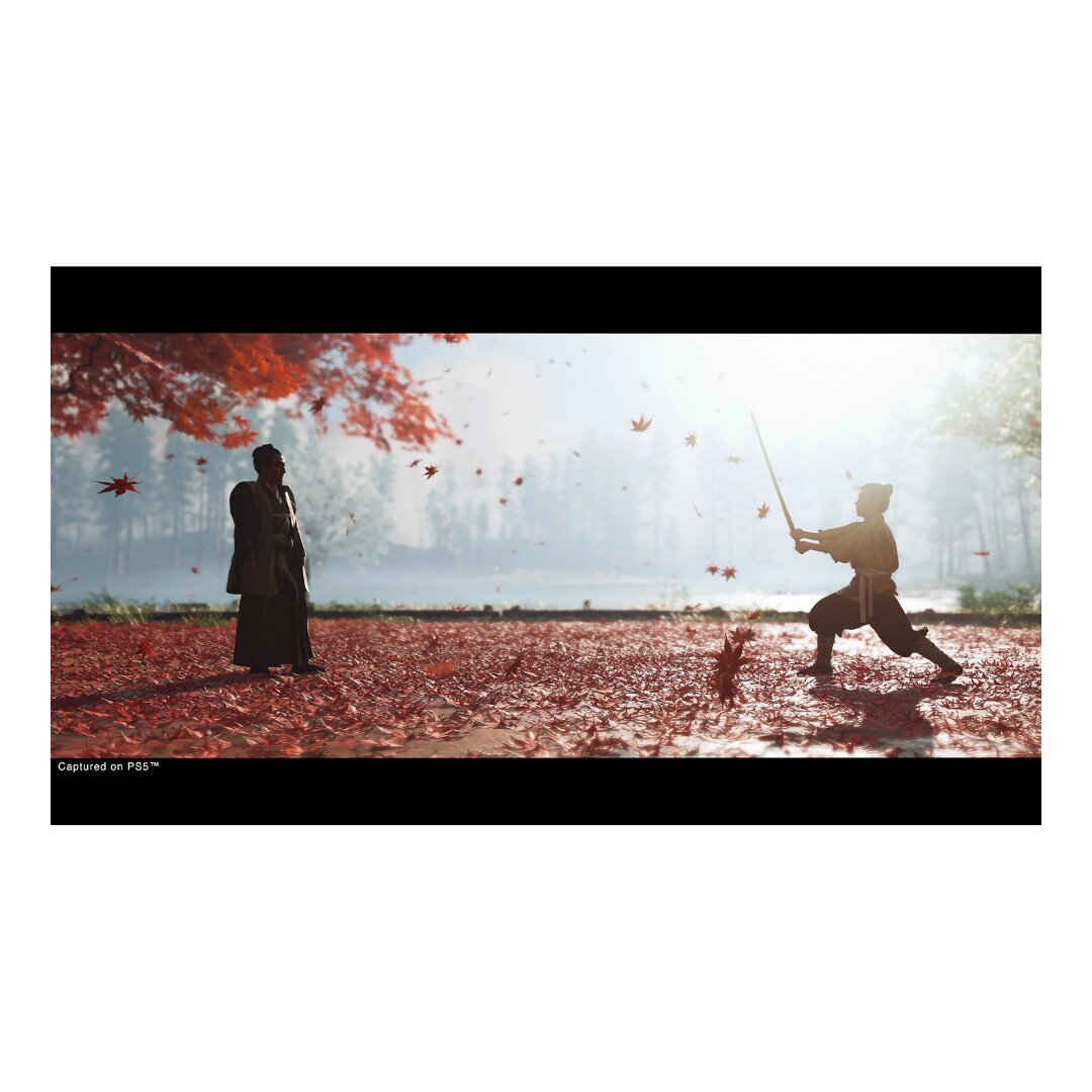 Ghost of Tsushima Director's Cut - Ps4 - Image 2