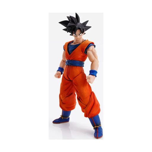 Dragon Ball Z Goku Action Figure