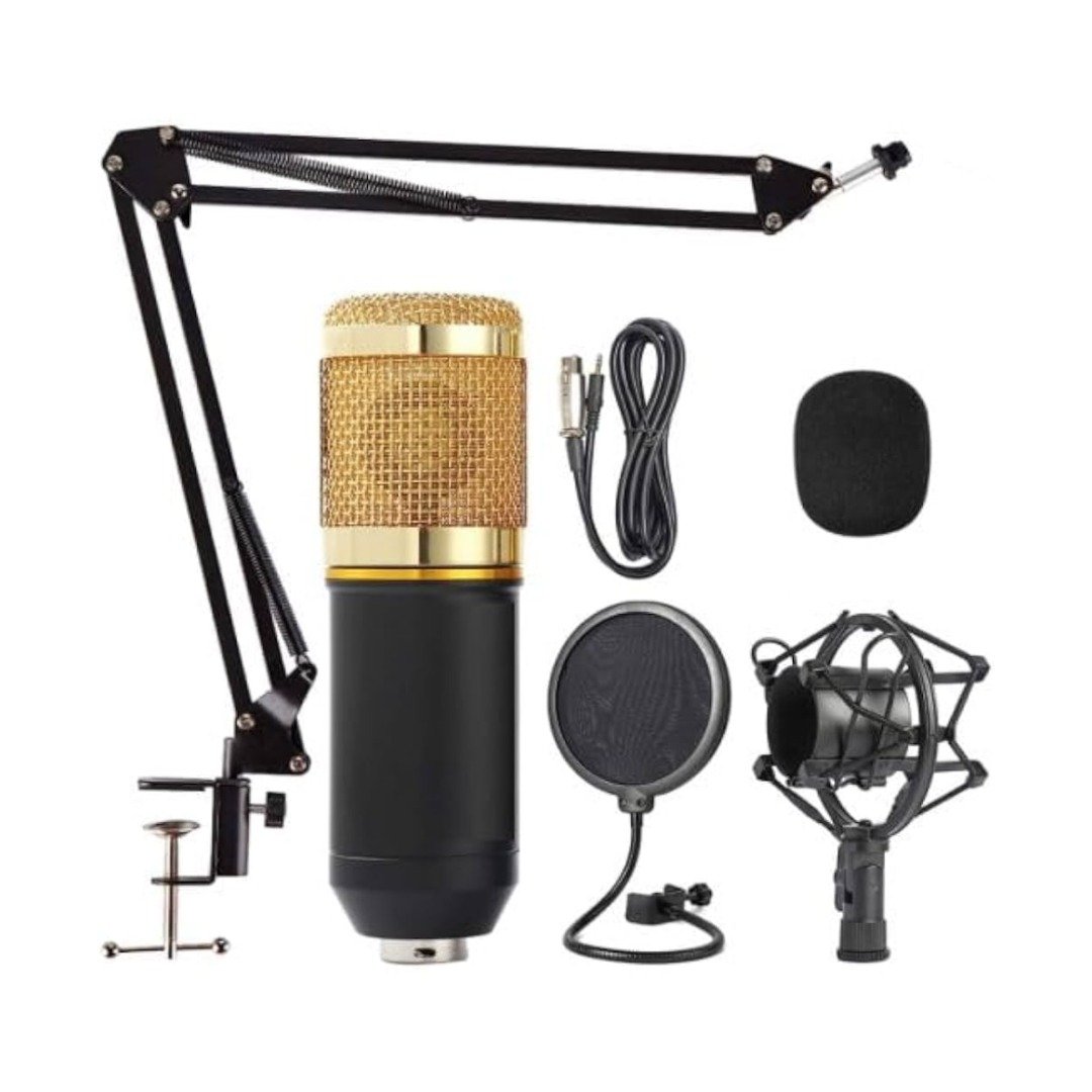 Legendary Vocal Professional Condenser Microphone - Image 2
