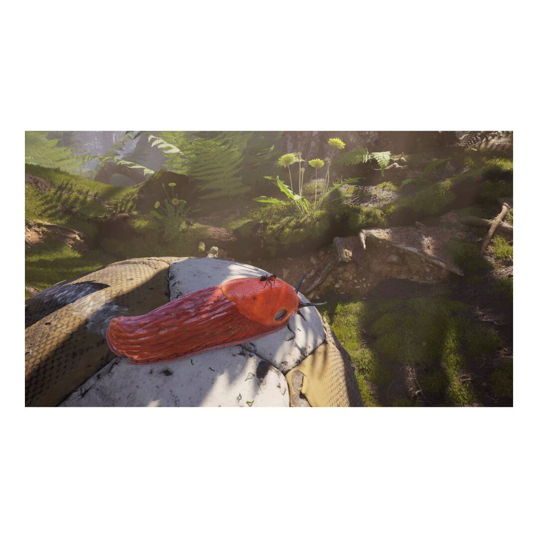 Empire of the Ants | Ps5 (Digital Game) - Image 3