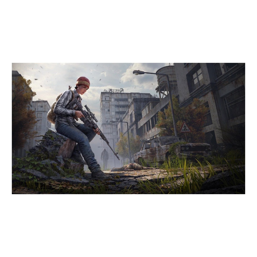 DayZ - Ps (Digital Game) - Image 3